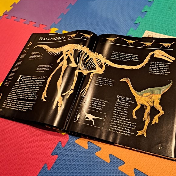 Everything Dinosaurs: books + more = 5lbs - Picture 2 of 3